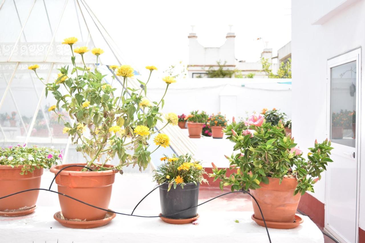 Apartamentos Veedor Καντίζ Εξωτερικό φωτογραφία